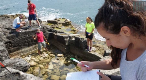 Il tesoro archeologico di Torre a Mare: tombe e antichi reperti tra spiagge e bagnanti